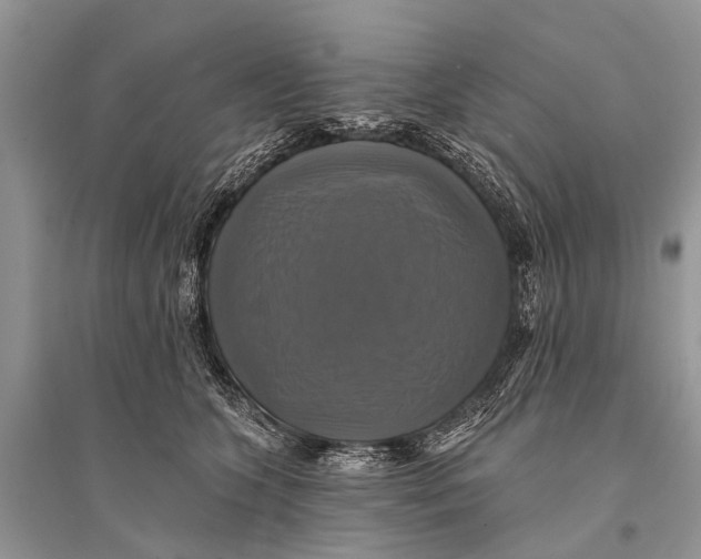 X0000094900563200712201137