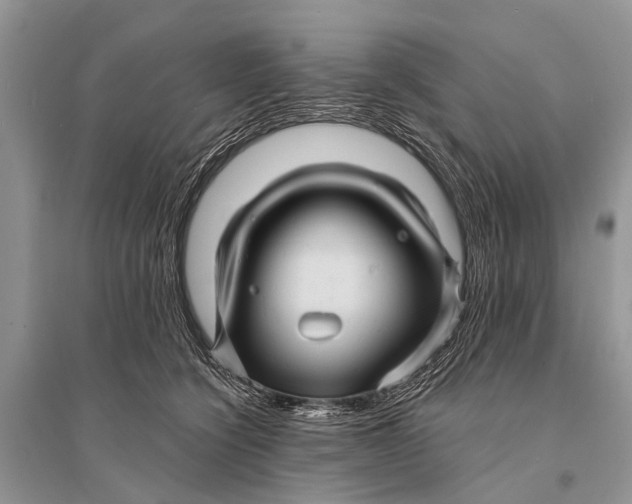 X0000094900564200712201137