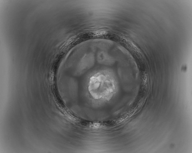 X0000094900565200712201137