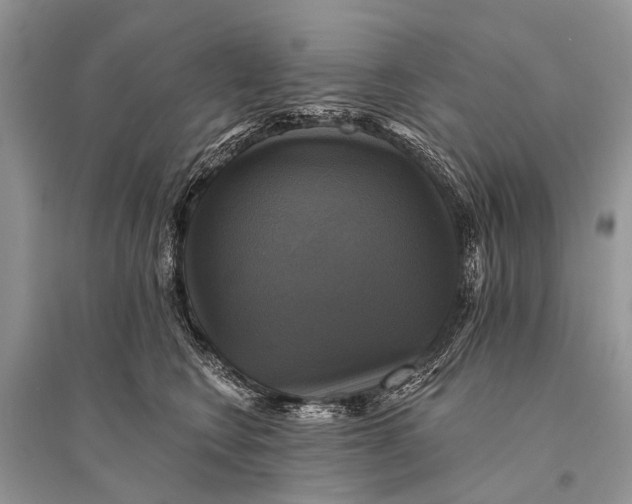 X0000094900566200712201137