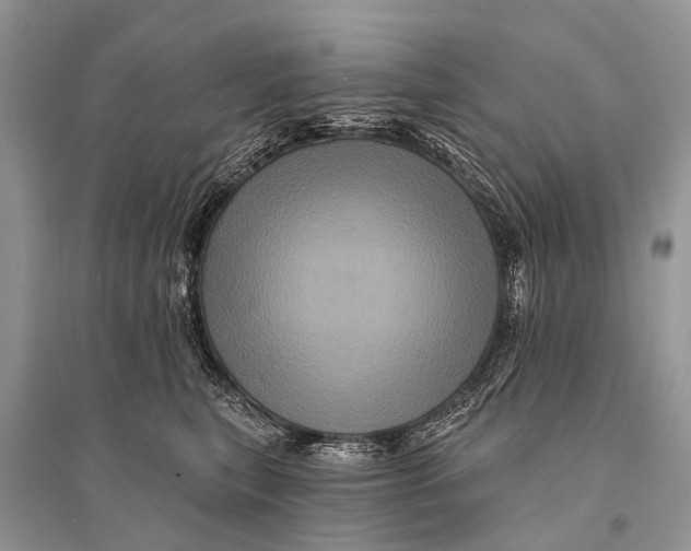 X0000094900567200712201137