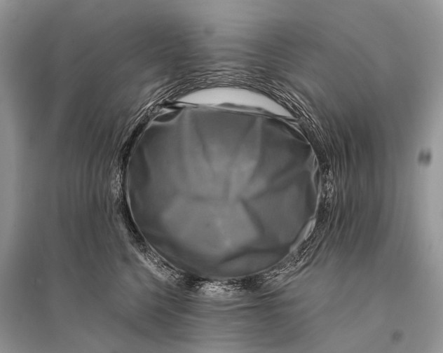 X0000094900568200712201137