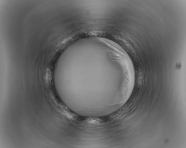 X0000094900569200712201137