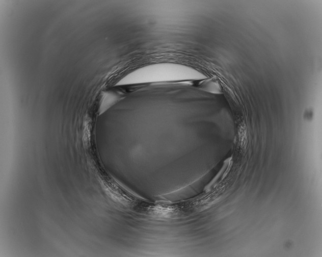 X0000094900570200712201137