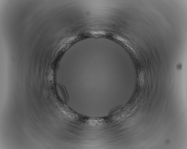 X0000094900571200712201137