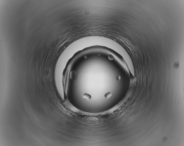 X0000094900572200712201137