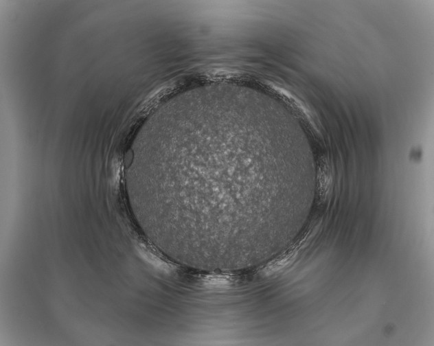 X0000094900574200712201137