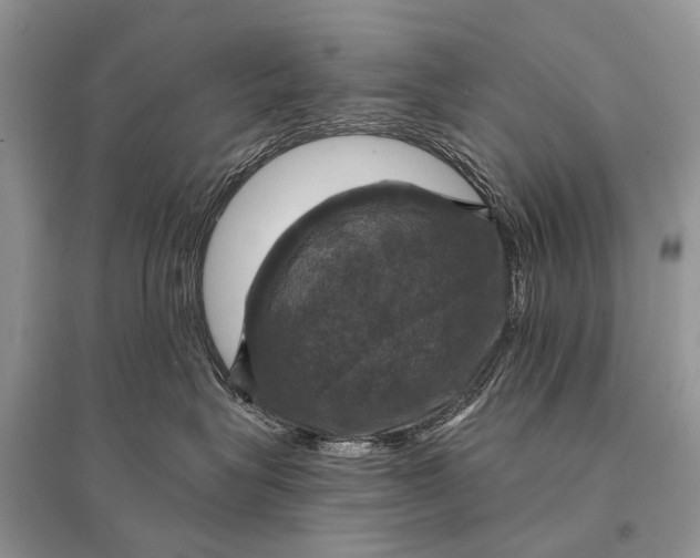 X0000094900575200712201137