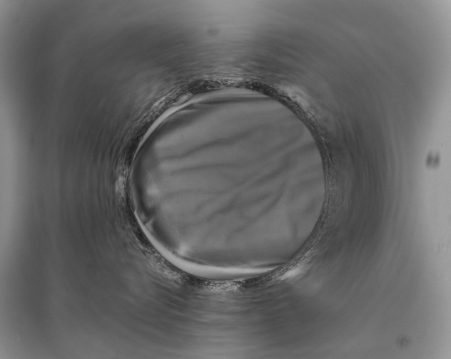 X0000094900576200712201137