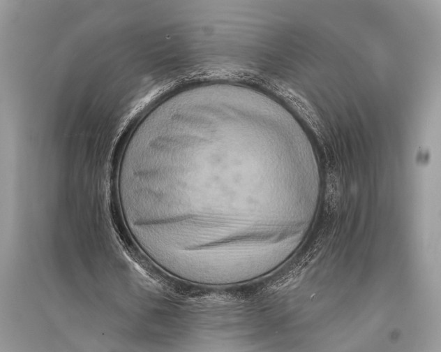 X0000094900578200712201136