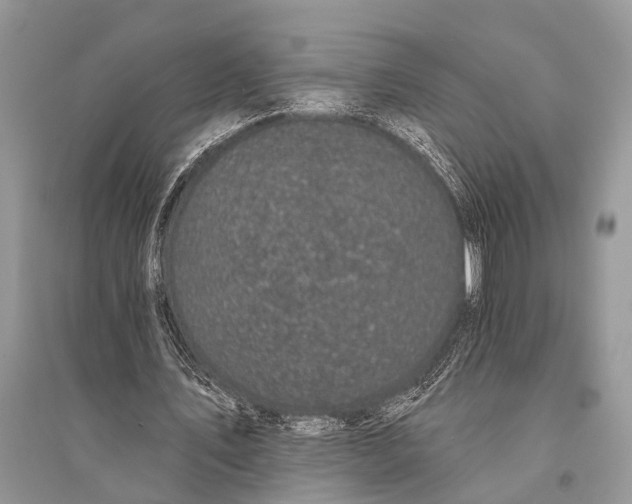 X0000094900579200712201136