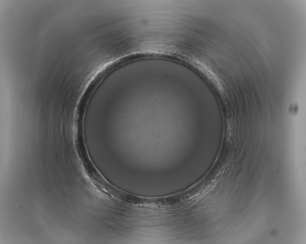 X0000094900580200712201136