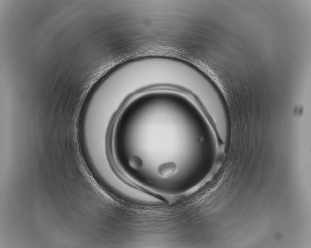 X0000094900581200712201136