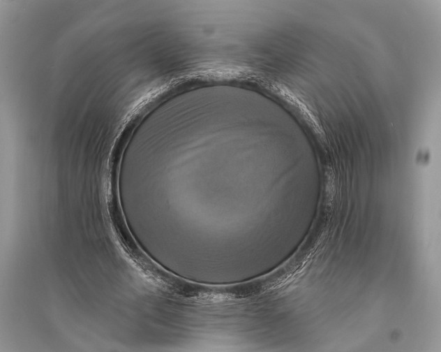 X0000094900582200712201136