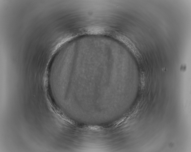 X0000094900583200712201136