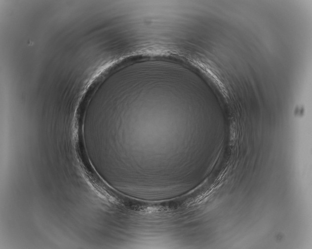 X0000094900584200712201136