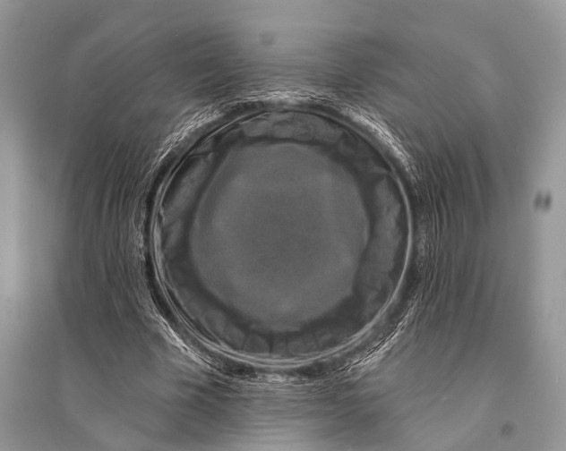 X0000094900585200712201136