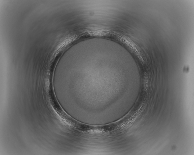 X0000094900586200712201136