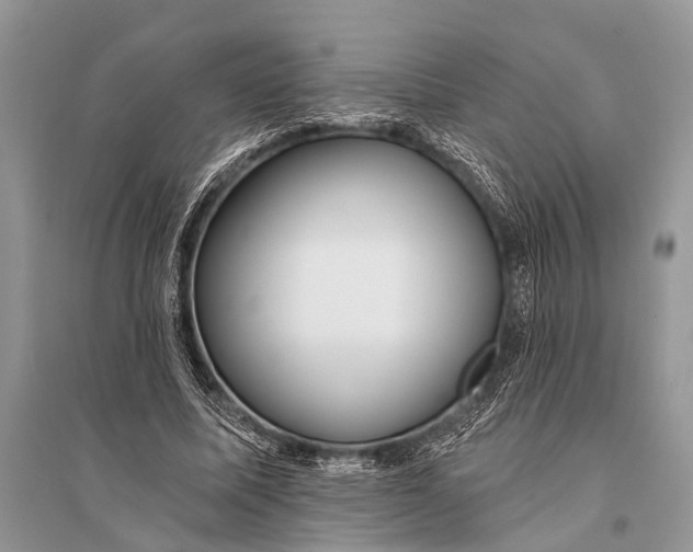 X0000094900587200712201136