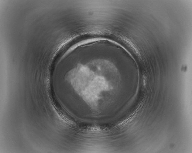 X0000094900588200712201136