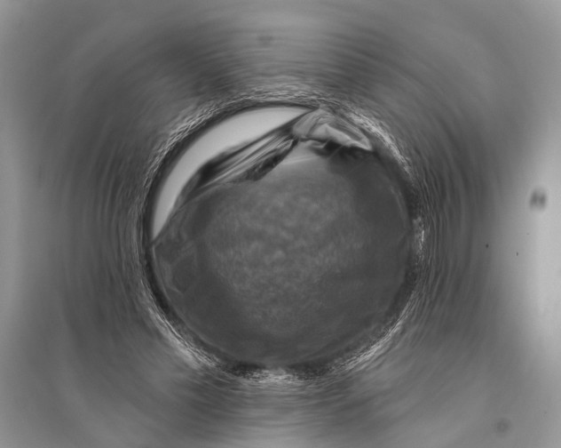 X0000094900589200712201136