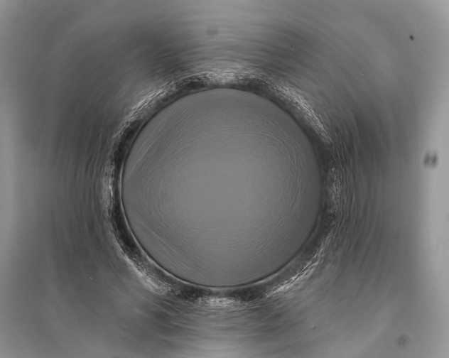 X0000094900590200712201136