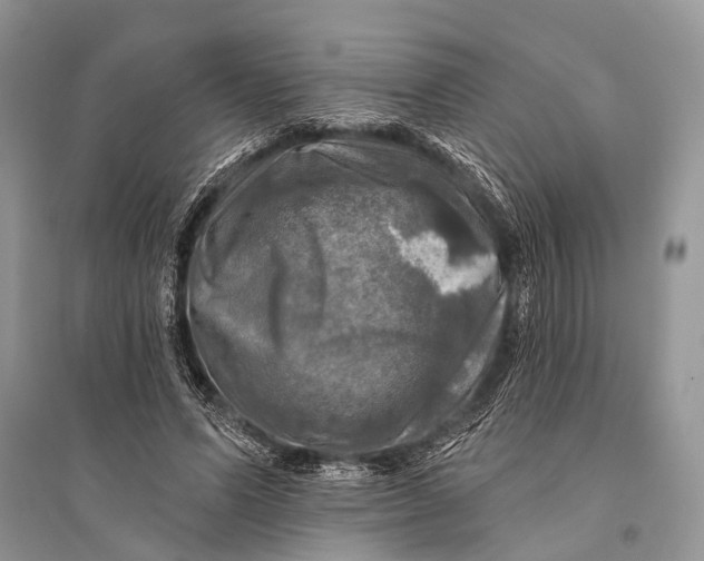 X0000094900591200712201136