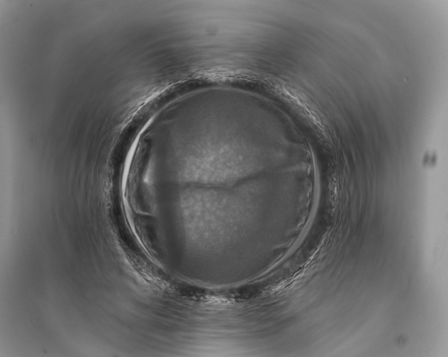 X0000094900592200712201136