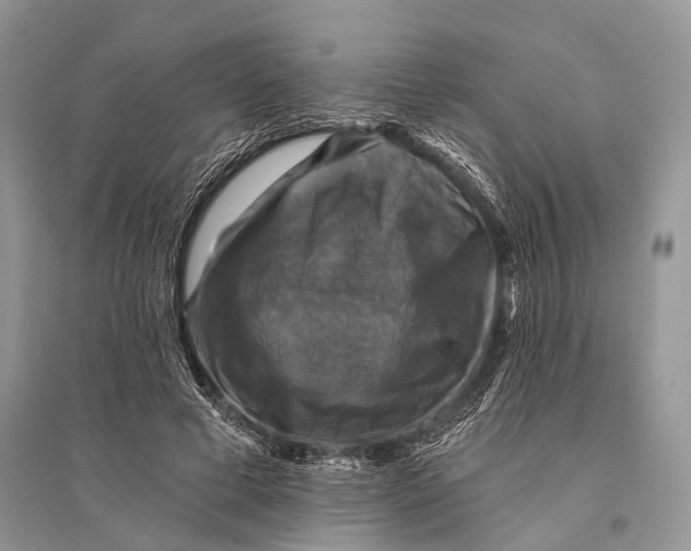 X0000094900593200712201136