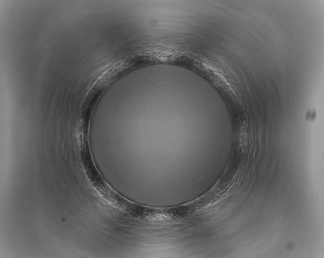 X0000094900594200712201136