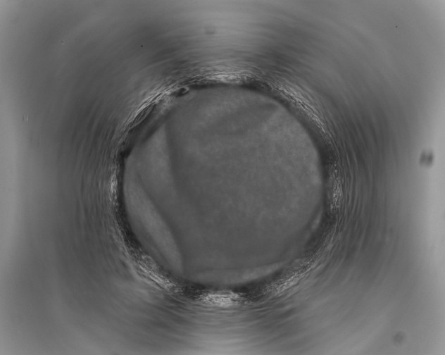 X0000094900595200712201136