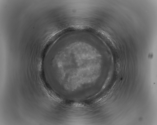 X0000094900596200712201136