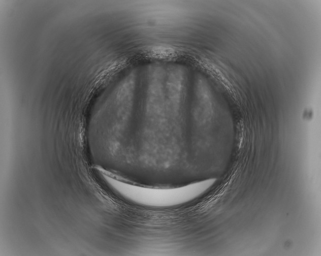 X0000094900597200712201136