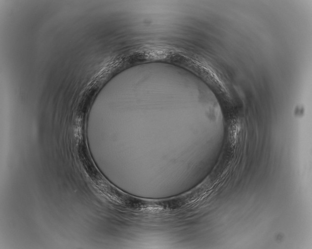 X0000094900598200712201136