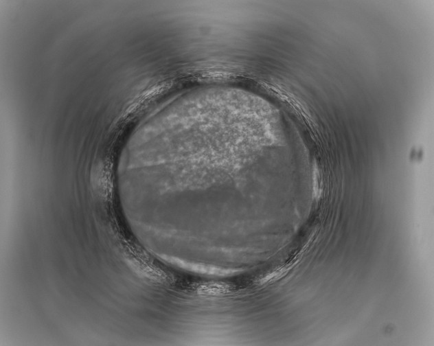 X0000094900599200712201136