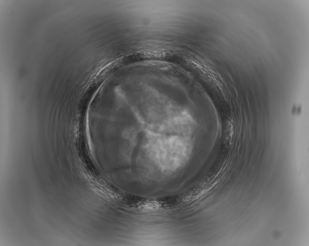 X0000094900600200712201136