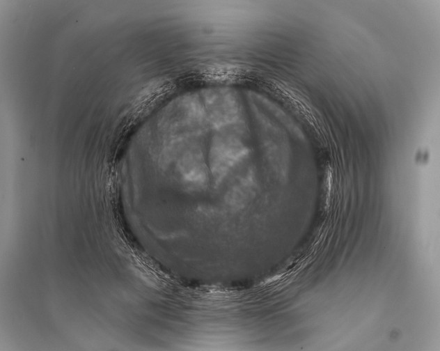 X0000094900601200712201136