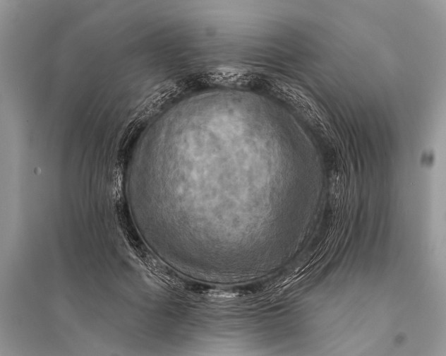 X0000094900602200712201136