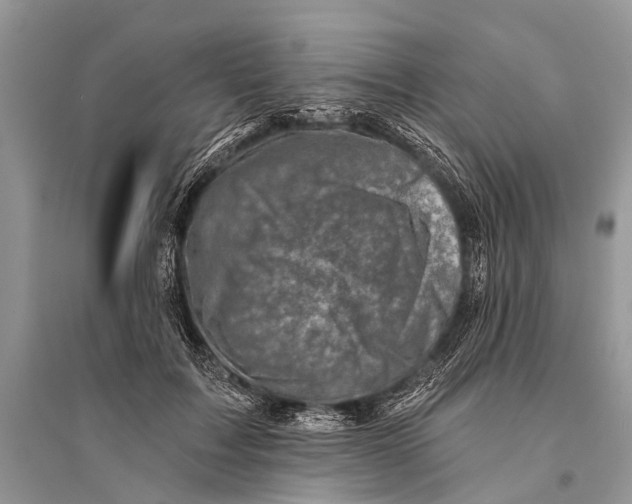 X0000094900603200712201136