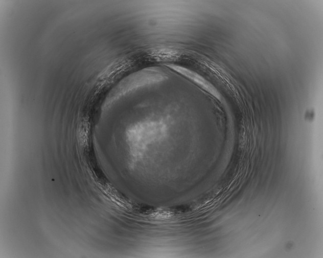 X0000094900604200712201136