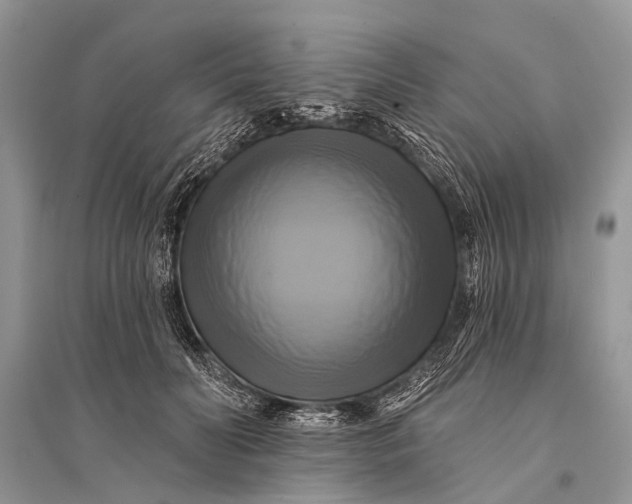 X0000094900606200712201136