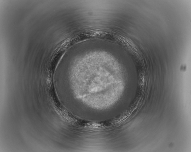 X0000094900607200712201136