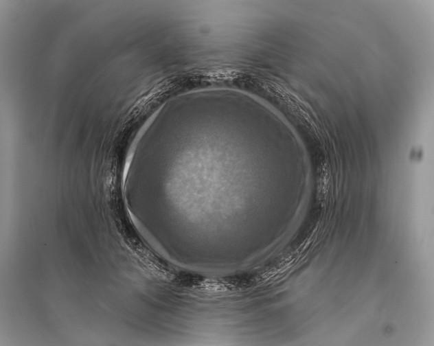 X0000094900608200712201136