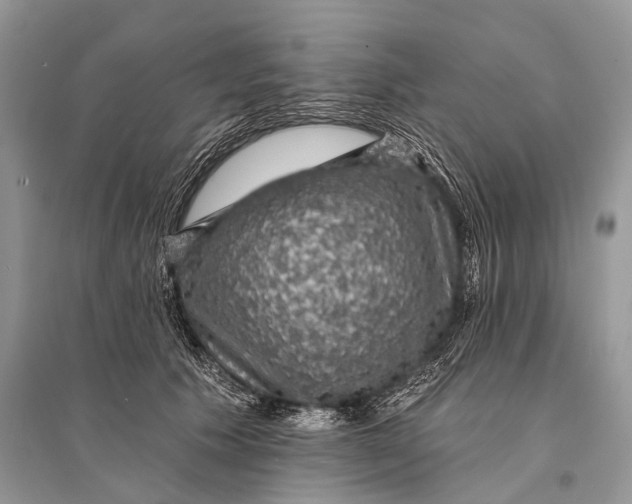 X0000094900609200712201136