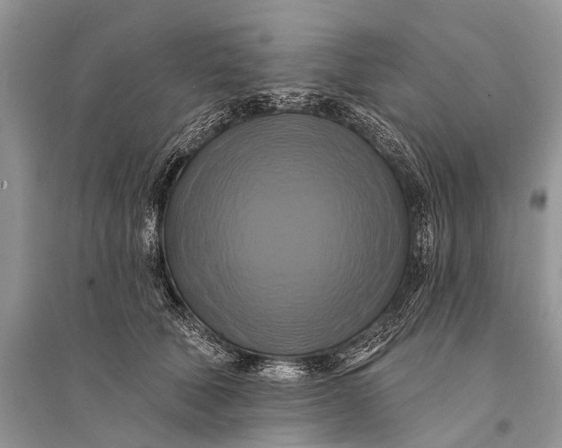 X0000094900610200712201136