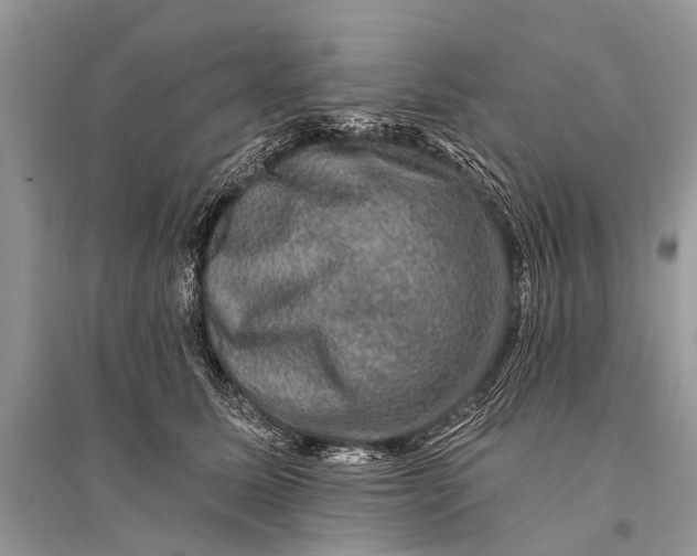 X0000094900611200712201136