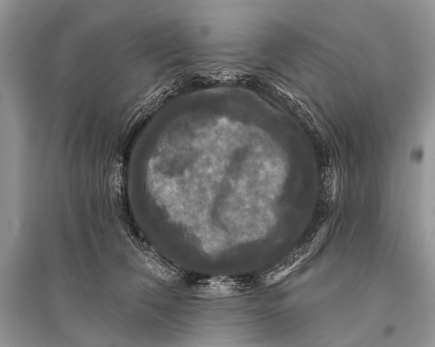 X0000094900612200712201136