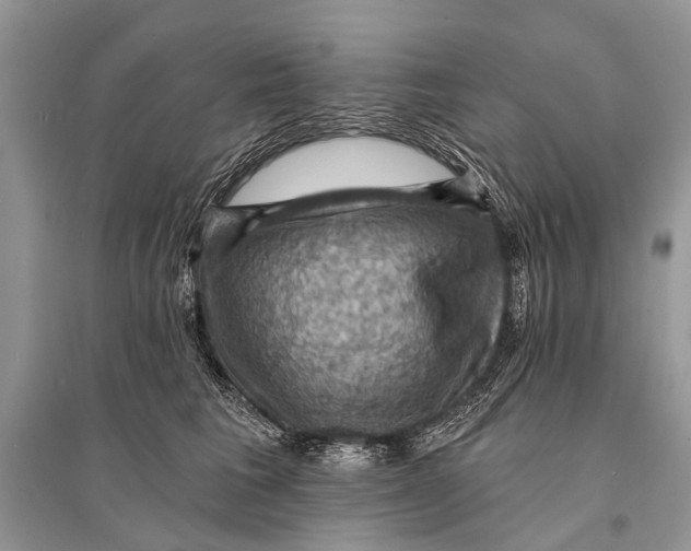 X0000094900613200712201136