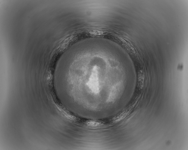 X0000094900614200712201136