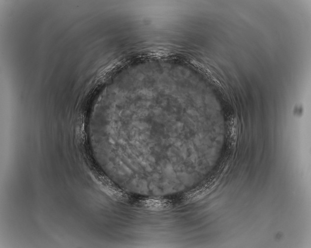 X0000094900615200712201136